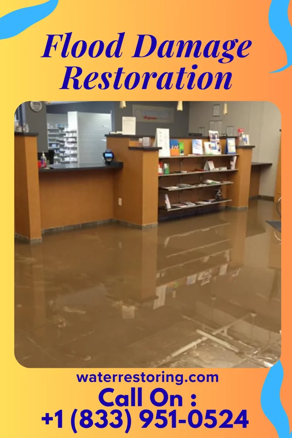 Flood Damage Restoration in Combee Settlement, FL