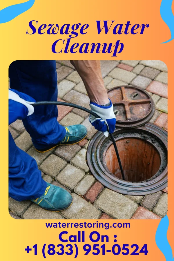 Sewage Water Cleanup in Combee Settlement, FL