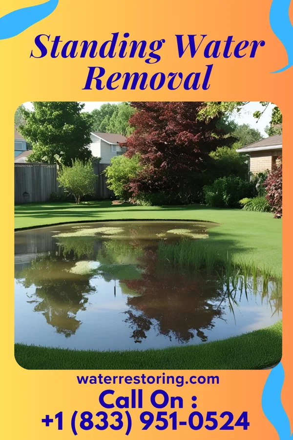 Standing Water Removal in Combee Settlement, FL